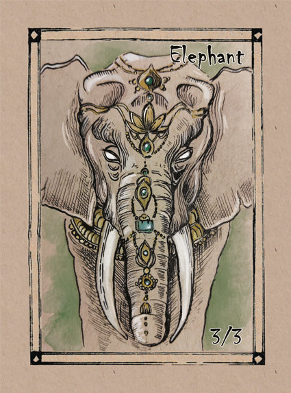 Elephant 3/3
