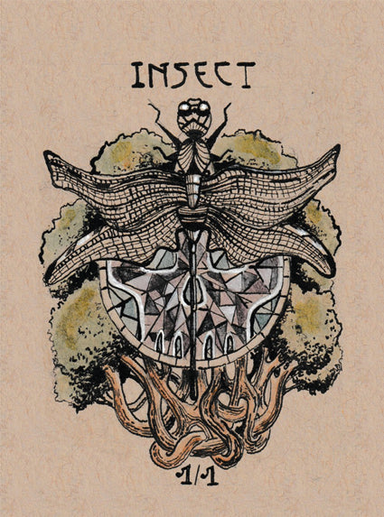 Insect 1/1 - V2 Dragonfly