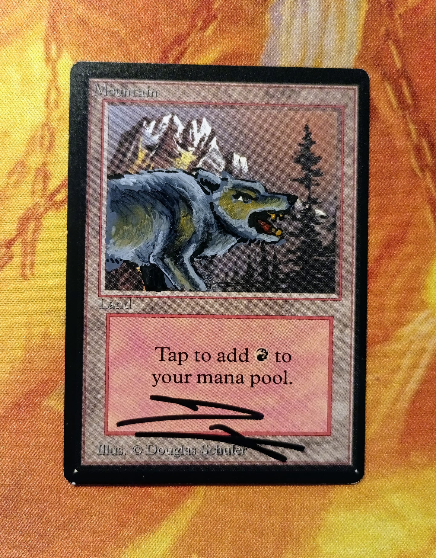 Mountain Beta - Wolf