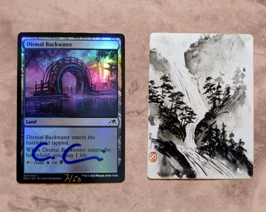 Dismal Backwater Foil