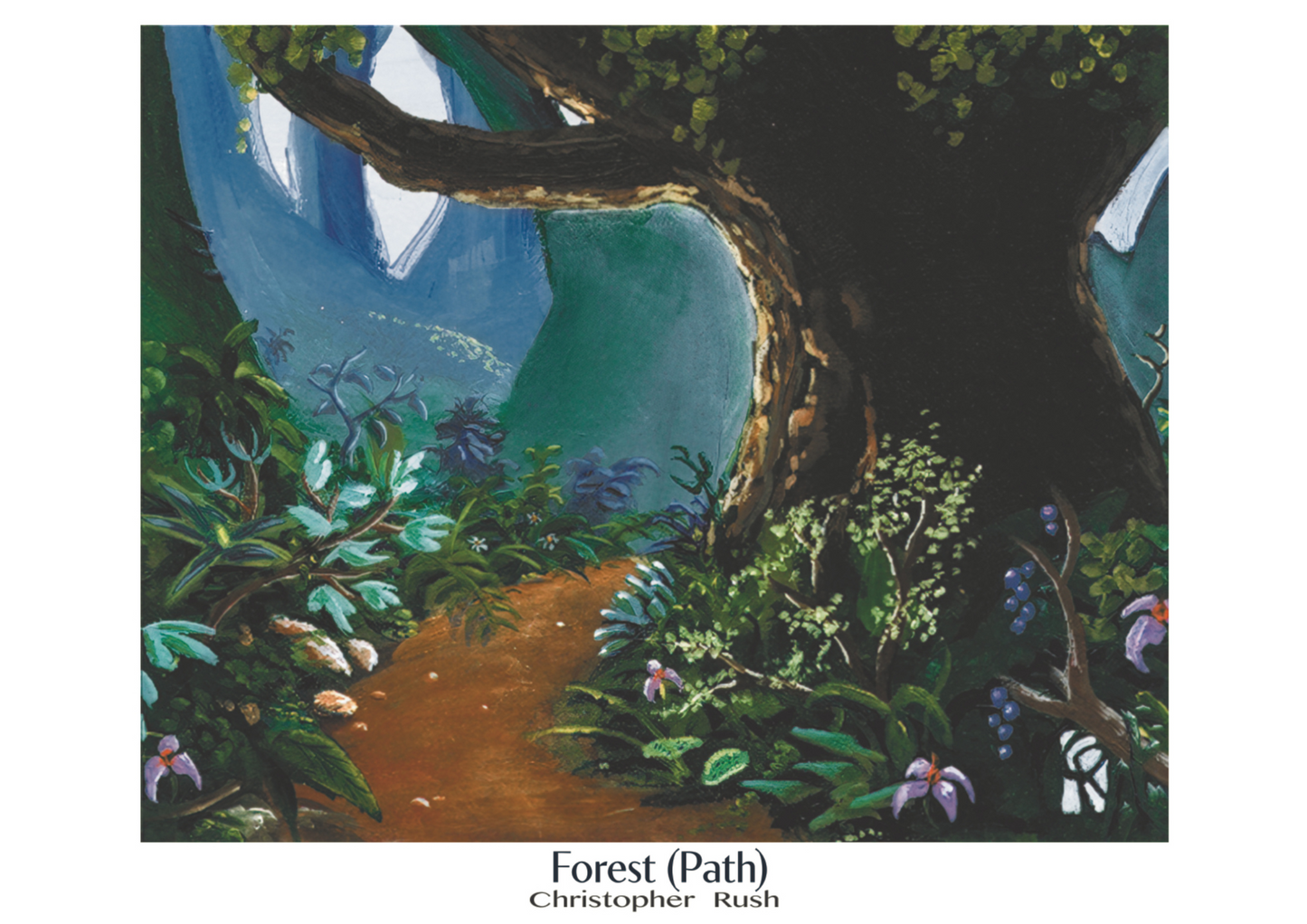 Forest Path