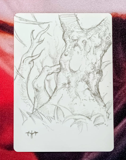 Forest - Pencil