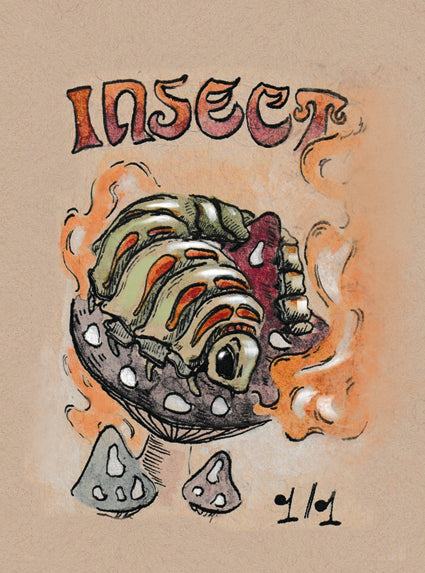 Insect 1/1 - V1