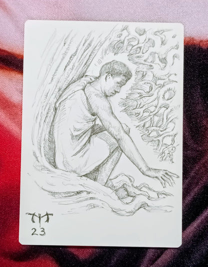 Wall of Roots - Pencil